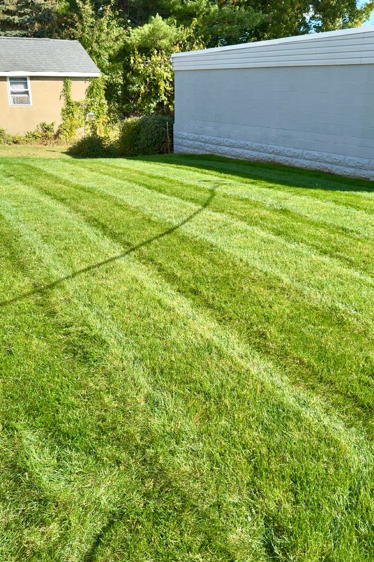 Landscaping project showcase