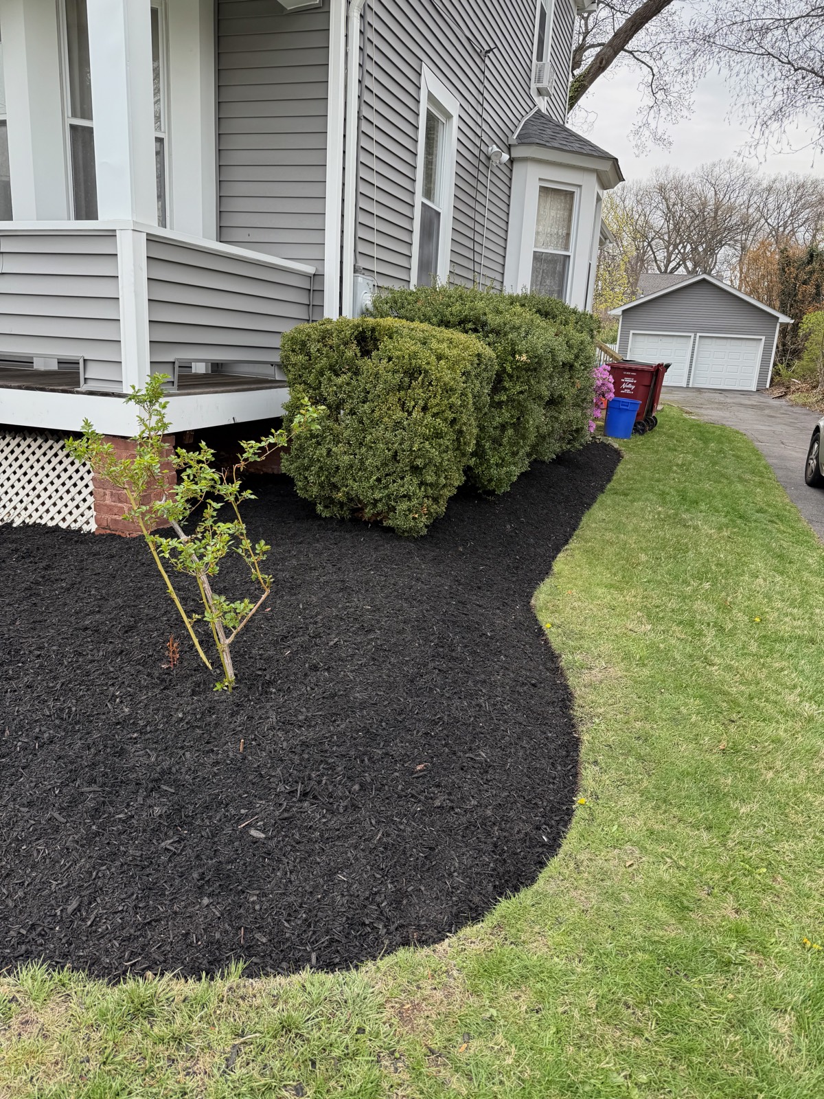 Freshly groomed landscape after seasonal maintenance