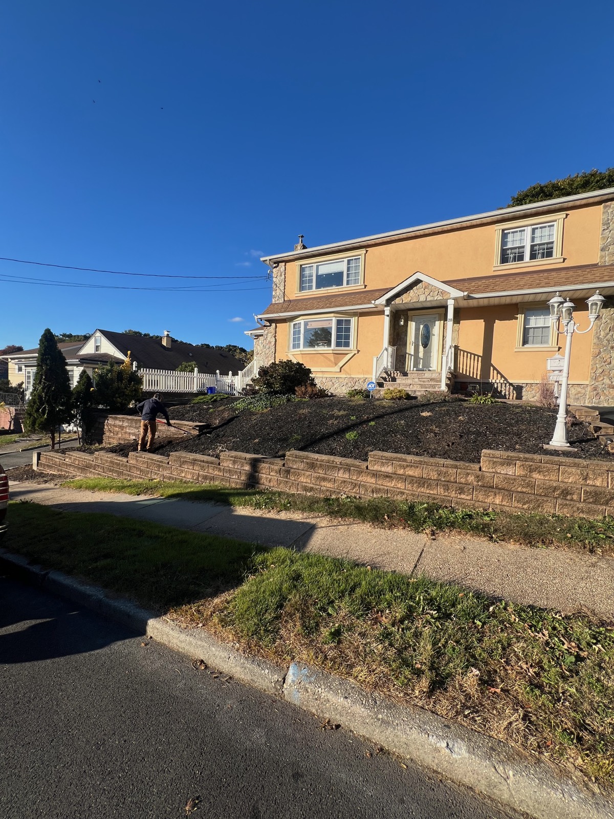 Front yard before lawn revival