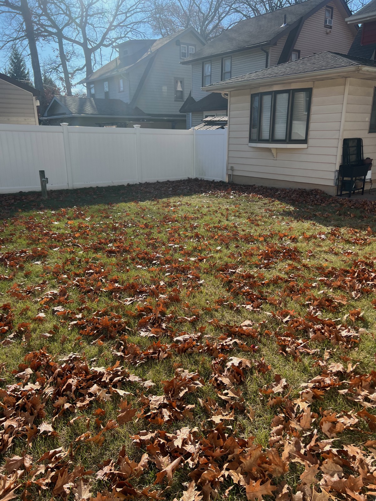 Backyard before stonework installation